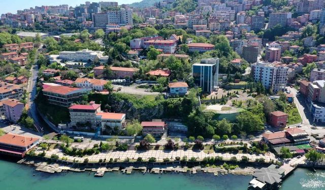 Zonguldak'ta ortalama hane halkı büyüklüğü 2,71 oldu