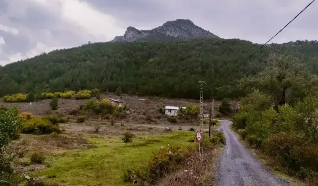 GÜMÜŞHANE’DE KAZANAN KÖYLÜLER OLDU!