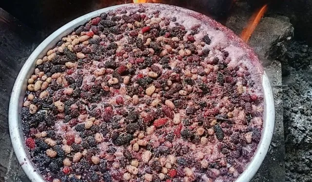 ARTVİN’DE PEKMEZ SEZONU AÇILDI