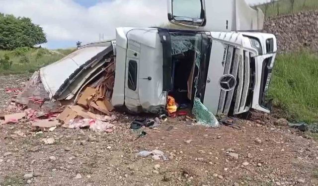 Tavuk eti yüklü tır şarampole uçtu: 2 yaralı