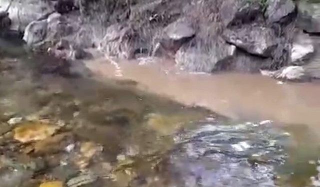 Bolu'da kanalizasyon sularının dereye karışmasına tepki