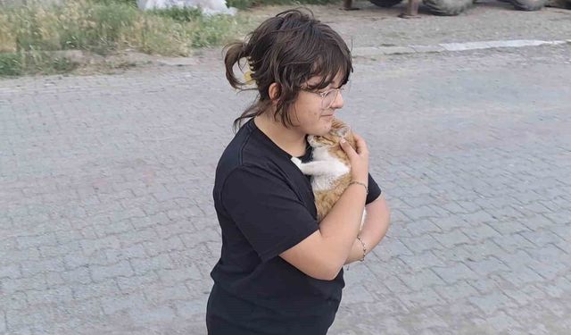 Çaya düşen kediyi itfaiye kurtardı
