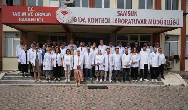 Gıdalar sofraya gelmeden mercek altında: 552 bin parametre kontrol ediliyor