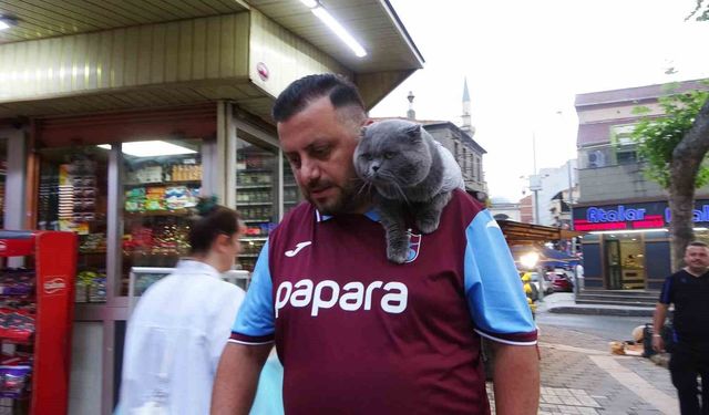 Kayıp kedi 'Tom' 4 gün sonra bulundu