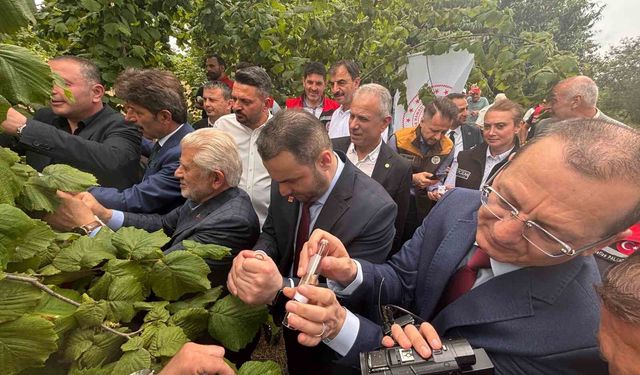 Kahverengi kokarcaya karşı doğal ordu göreve başladı