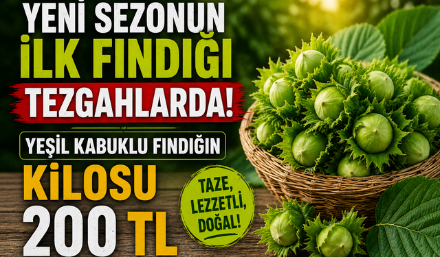 YENİ SEZONUN İLK FINDIĞI TEZGAHTA: KİLOSU 200 TL!