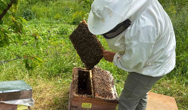 Artvin'de bal hasat sezonu öncesi üreticilerle buluşma