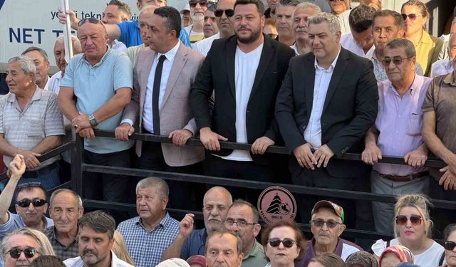 Bolu'da CHP'den toplu istifa: 6 belediye başkanı Yeni Parti'ye katıldı