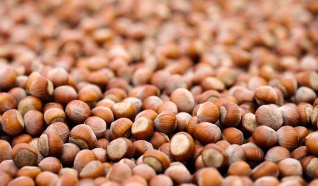 FERRERO 17. SÜRDÜRÜLEBİLİRLİK RAPORU'NU YAYIMLADI