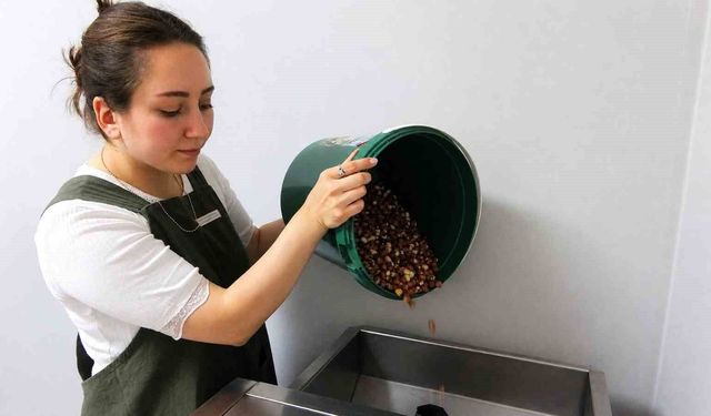 İşletme hayalini gerçeğe dönüştürdü, ilçenin ilk kadın girişimcisi oldu