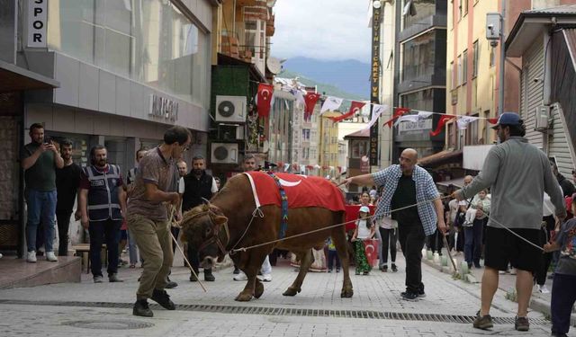 'Kafkasör Festivali' boğalı kortej yürüyüşüyle başladı