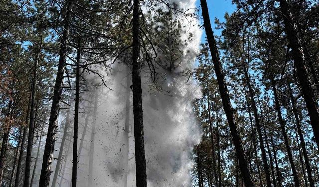 Kastamonu'da orman yangını: Alevlere havadan ve karadan müdahale edildi