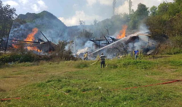 Şavşat’ta köy yangını: 4 hane alevlere teslim oldu