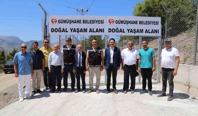Gümüşhane'de sokak hayvanları için doğal yaşam alanı açıldı
