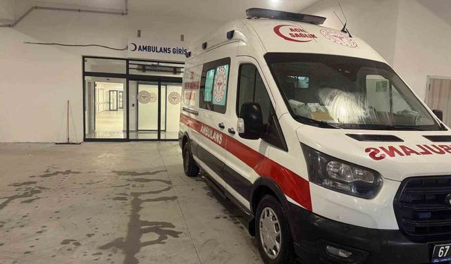 İncir ağacından düştü, ağır yaralandı