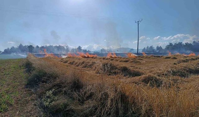 Kastamonu'da çıkan yangında 13 dönümlük tarar zarar gördü