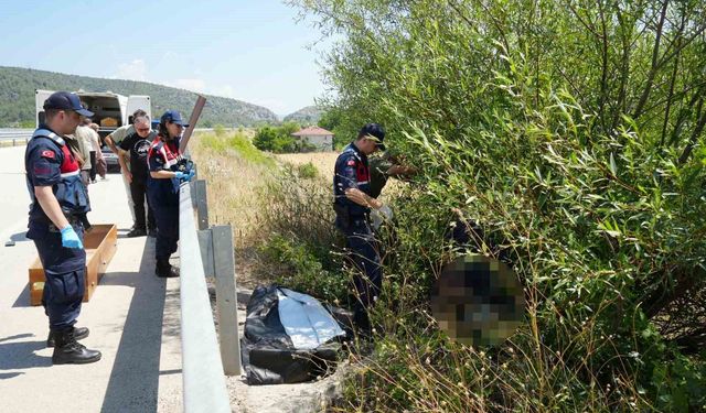 Otomobilin çarptığı bisikletli ağacın altında ölü bulundu!