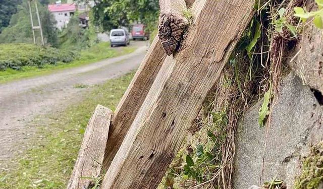 Merdiven hırsızlığına 'Karadeniz usulü' çözüm!