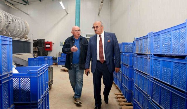 Başkan Arslan, Taşköprü OSB'deki fabrikaları ziyaret etti