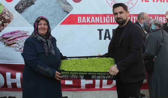 Düzce'de çiftçilere 2,6 milyon TL'lik fide ve tohum desteği