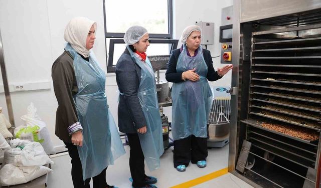 Kadın girişimciden tirmis bazlı fonksiyonel gıda üretimi
