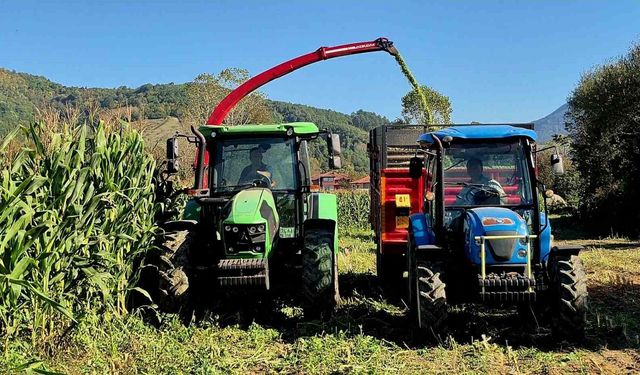 Silajlık mısır hasadı üreticinin yüzünü güldürdü