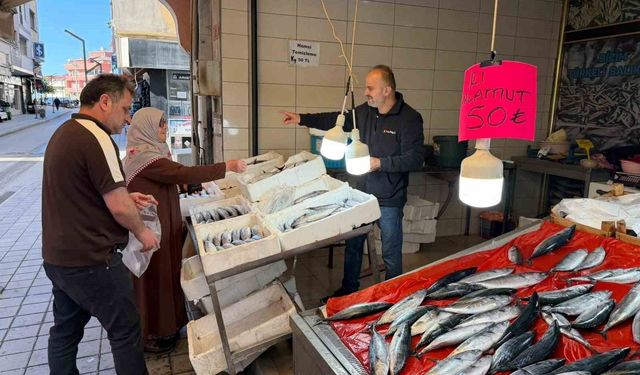 Türkeli'de palamutun adeti 50 liraya düştü