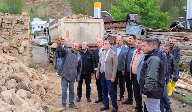 Vali Eldivan Heybetepe'deki yangın bölgesinde incelemelerde bulundu