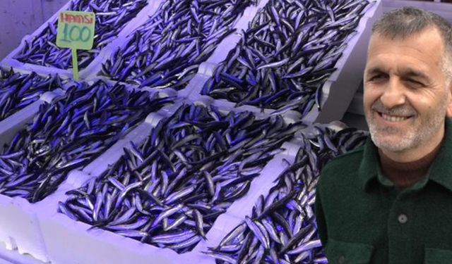 Karadeniz’e Kötü Haber: "Gelecekte Hamsiye Hasret Kalacağız!"