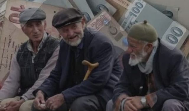 EMEKLİYE SANAT VE KÜLTÜR HAKKI