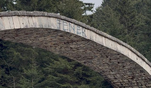 Rize'de tarihi kemer köprüye verilen zarar tepki çekti