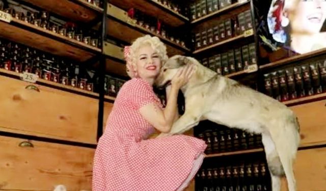 Yerli Marily Monroe cezaevine girdi