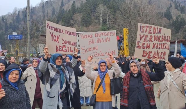 Rize’nin Vadileri Birleşti: "Yıkım Değil Çözüm"