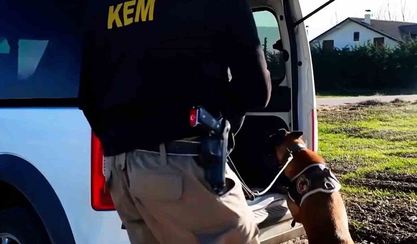 Bolu'da güvenlik güçleri nefes aldırmıyor: Haftalık bilanço açıklandı