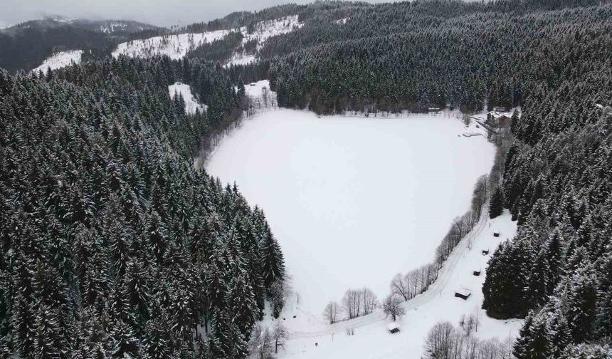 ARTVİN KARAGÖL’DE BÜYÜLEYİCİ KIŞ MESAİSİ!