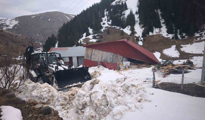 Ordu'da çığ düşmesi sonucu ahşap ev zarar gördü