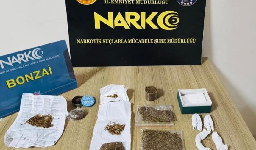 Ordu'da uyuşturucu operasyonlarında 19 tutuklama