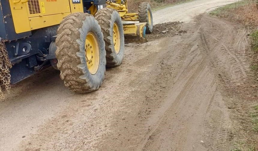 Sinop'ta heyelan sonrası temizlik çalışmaları sürüyor