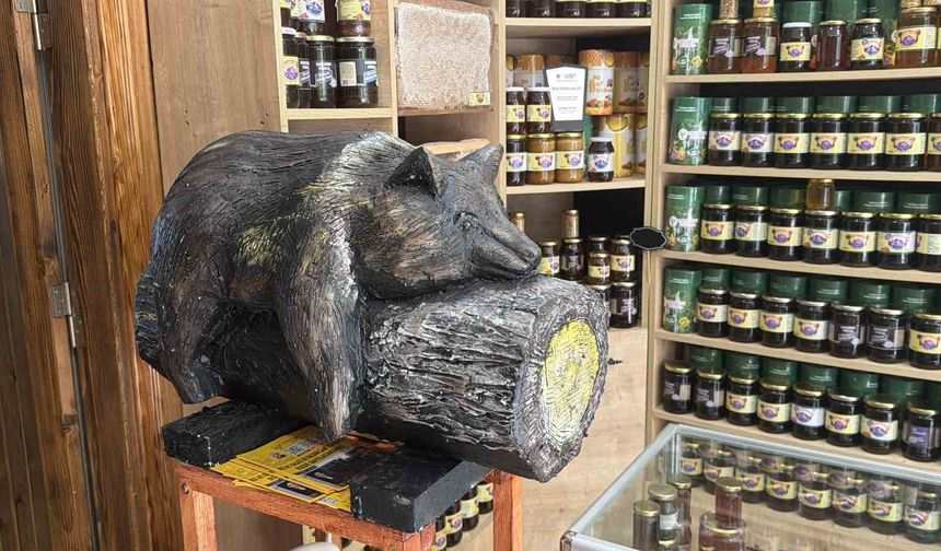 Viral olan ayı, satışları katladı: Balcı dükkanının başköşesine 'bayılan ayı' dekoru yerleşti