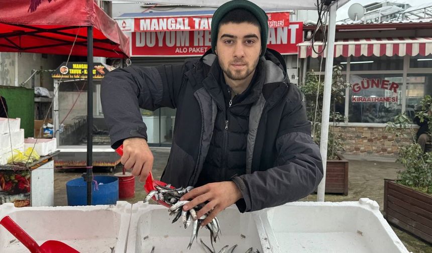 Zonguldak'ta tezgahta hamsinin yerini istavrit ve mezgit alacak