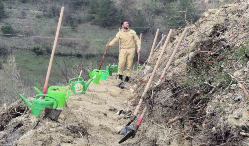 Bartın'da geçen yıl yanan ormana 400 fidan dikildi