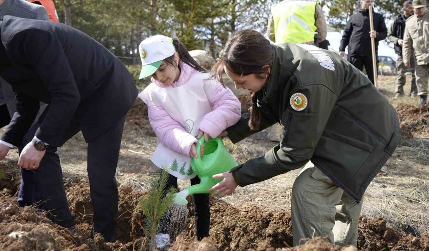 Gümüşhane'de fidanlar toprakla buluştu