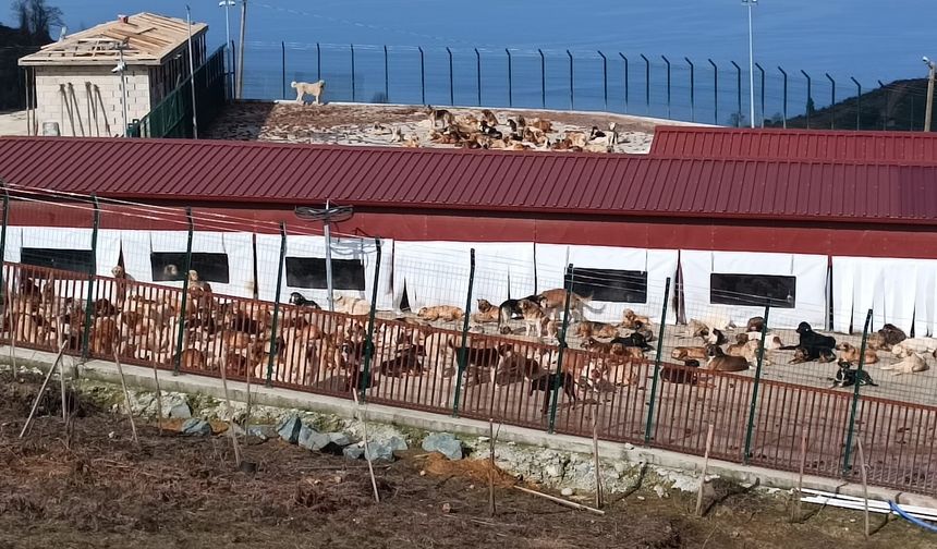 RİZE'DE KORKUNÇ İDDİALAR!