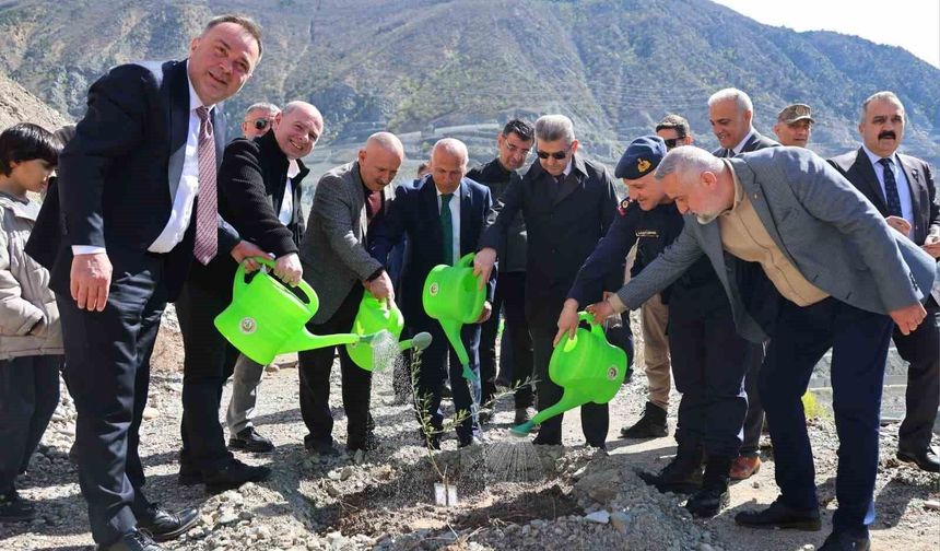 Artvin'de 450 Butko zeytini fidanı toprakla buluşturuldu