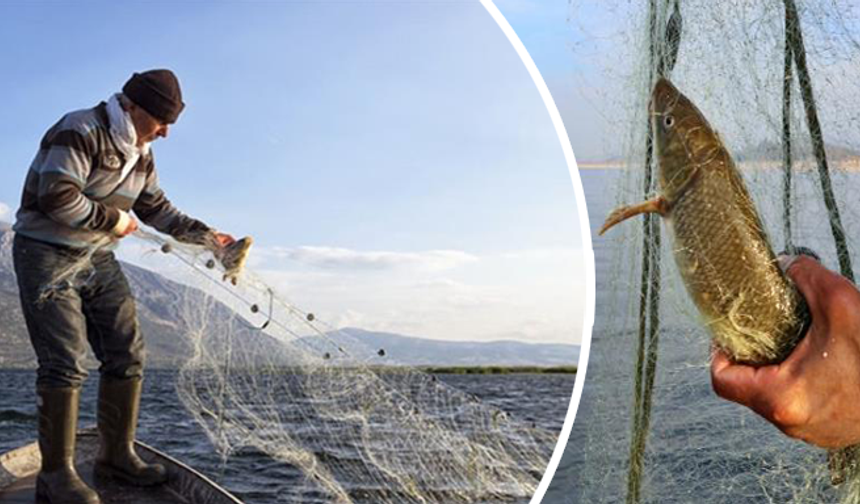 Av yasağı başladı