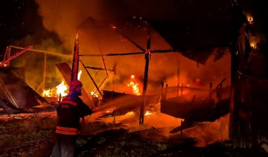 Bolu'da samanlığa yıldırım düştü: Samanlık ve traktör alev alev yandı