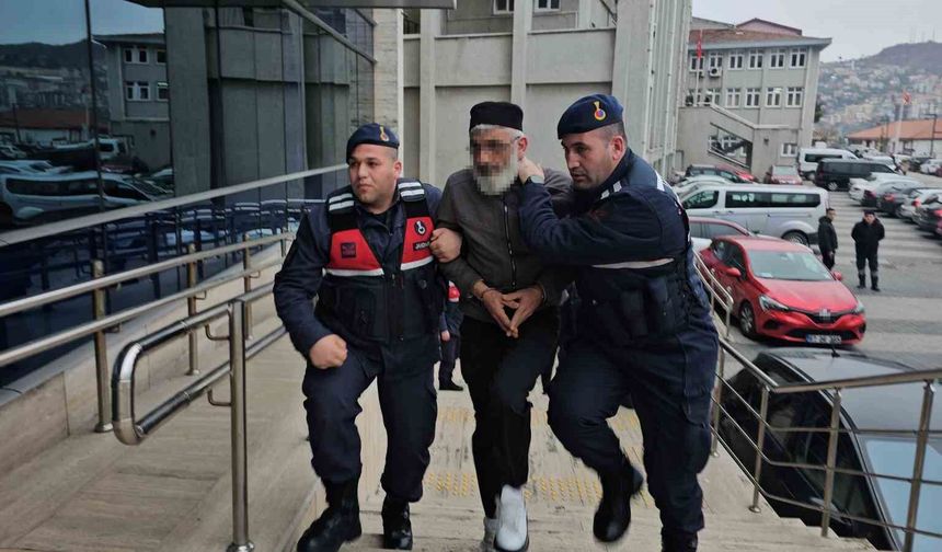Çifte cinayet 19 saniyede işlenmiş: Eşi ve kayınvalidesini vuran koca hakim karşısında