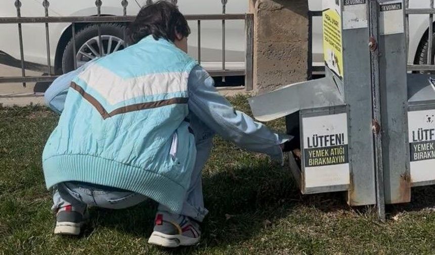 Sokak hayvanlarına mama desteği