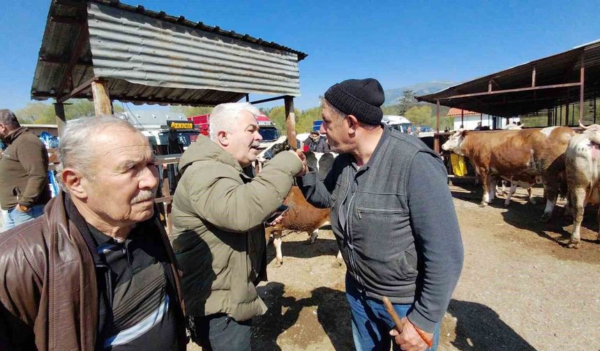 704 kiloluk dana için dakikalarca pazarlık yaptılar