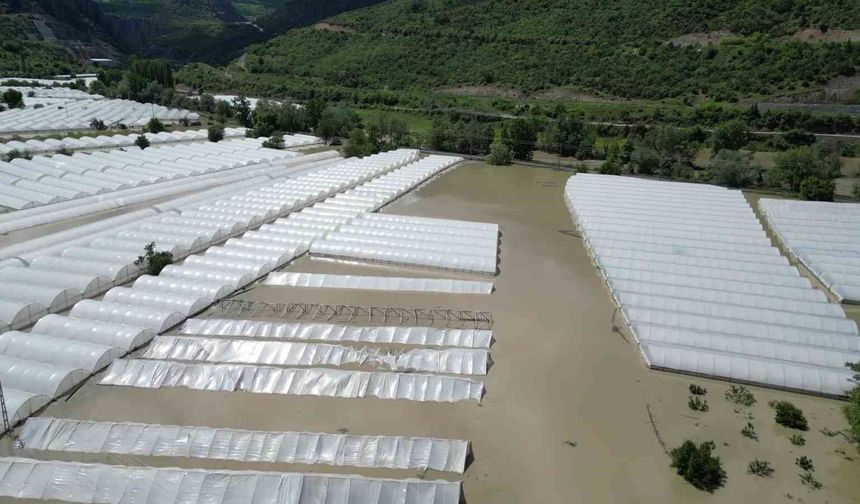 Yeşilırmak Nehri taştı!